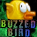 Buzzed Bird