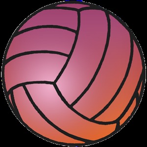 Melbourne Social Netball加速器