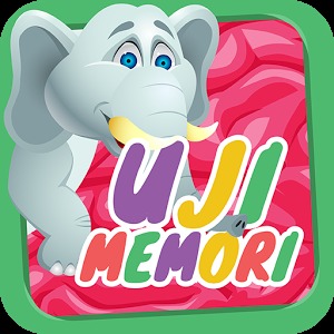 Uji Memori加速器