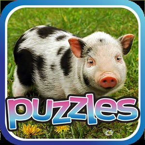 Baby Animal Puzzles Free Game加速器