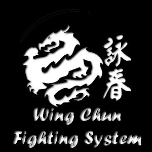 Wing Chun Fighting System加速器