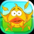 Shoot Bird
