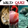 Wild Quiz