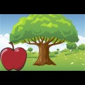 Apple Tree