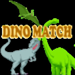 Dino Matching加速器