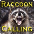 Raccoon Calling Pro