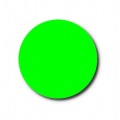 The Button! It Does Nothing!