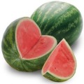 Watermelon Matching加速器
