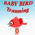 Baby bird training