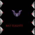 Bat Flight