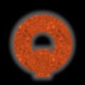 Quarrior Assistant加速器