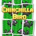 Chinchilla Bird