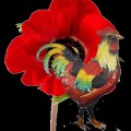 Poppycock加速器