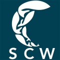 SureCatch World