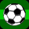 Fall Soccer Ball