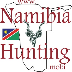 Namibia Hunting Destinations加速器