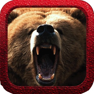 Bear Hunter Reloaded加速器