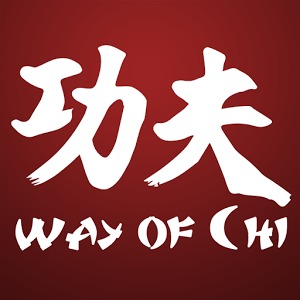 Kung Fu The Way of Chi加速器