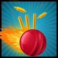 Cricket Knockdown Fever