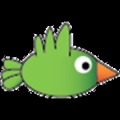 Loser Bird