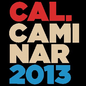 CALcaminar加速器