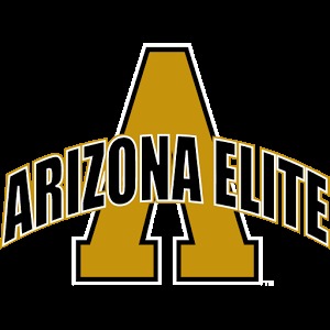 Arizona Elite Basketball Club加速器