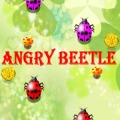 Angry Beetle