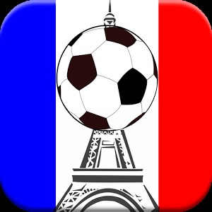 France Ligue 1 2014-2015加速器