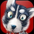 Dog Match Memory Quiz