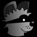 Raccoon Runs