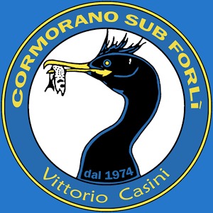 Cormorano Sub加速器