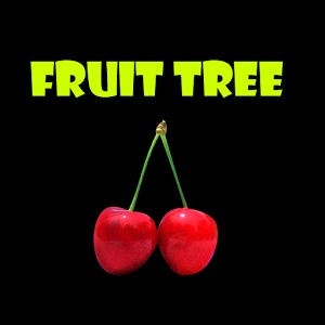 Fruit Three加速器