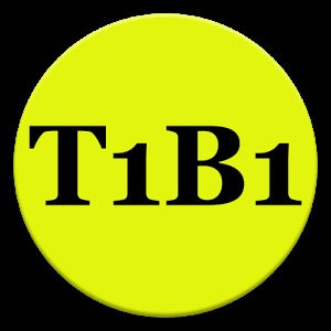 T1B1 BoulderMatch加速器