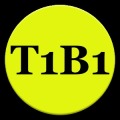 T1B1 BoulderMatch加速器