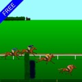 Steeplechase Horse Racing