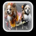 Pets Party
