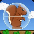 Squirrel Ball