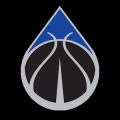 Pinnacle Hoops Development