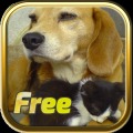 Free Dogs and Cats Puzzles