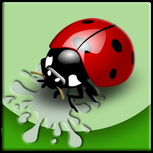 Ladybug Attack加速器