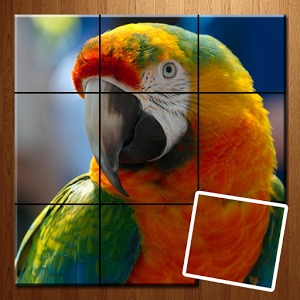 Tiled Picture Game - Animal加速器