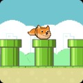 Flappy Doge Jump