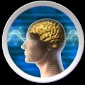 Mind & Brain Training Game加速器