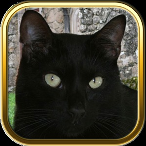 Free Black Cat Puzzles加速器