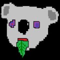 Trippy Koala