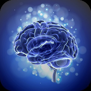 Brain Training Touch in Order加速器