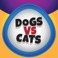 DogsVsCats