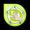 Ninja Hand Seals Puzzles