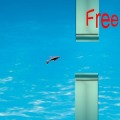 Flappy Little Dolphin加速器