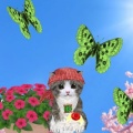 3D Singing Kitten Dress Up